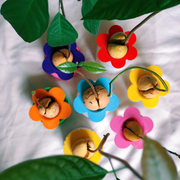 מתקן הנבטה לאבוקדו