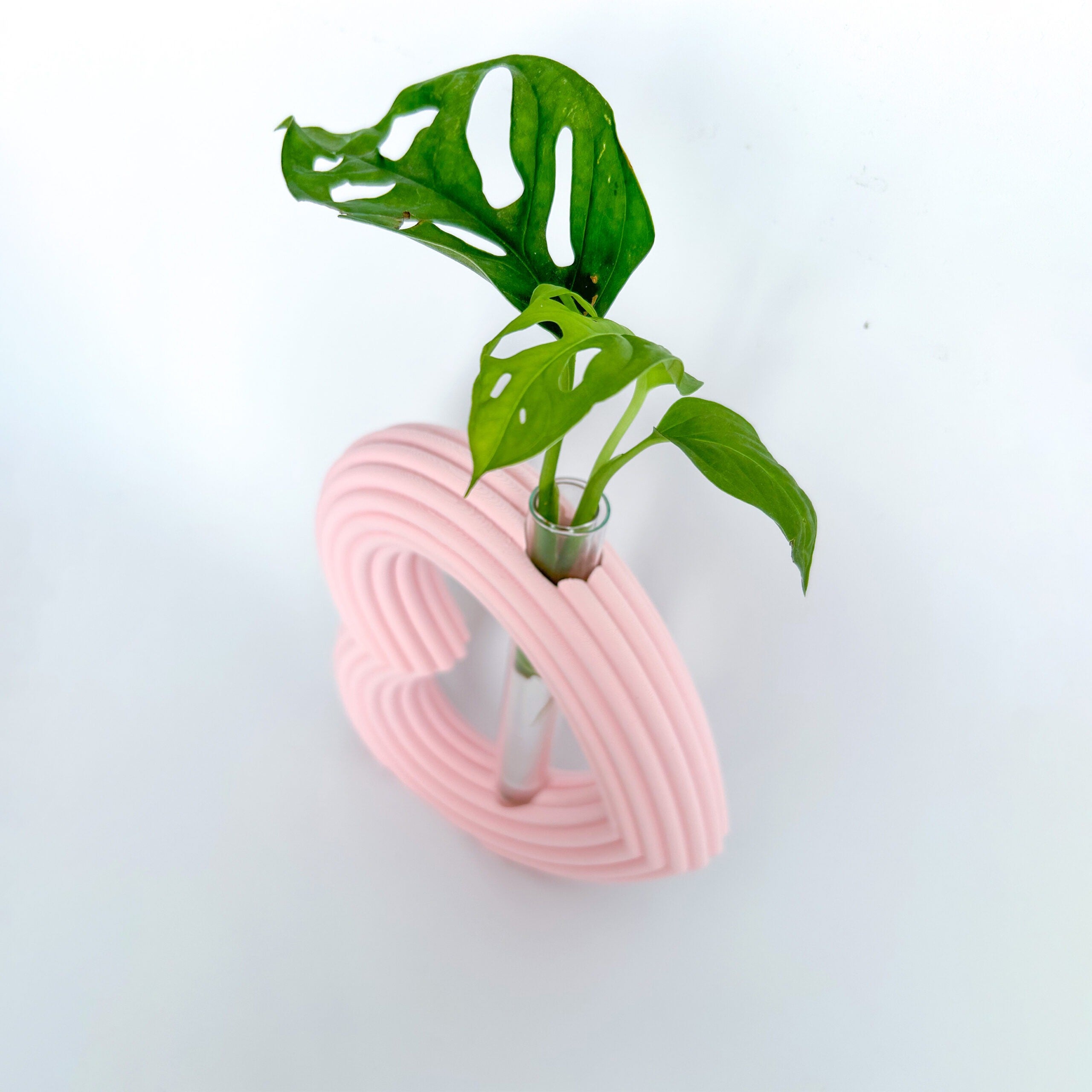 מתקן ייחורים שולחני | לב ריבס