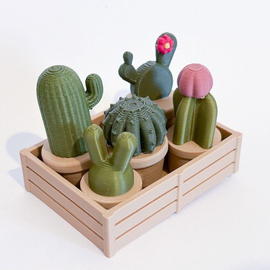 מגנט סוקולנט