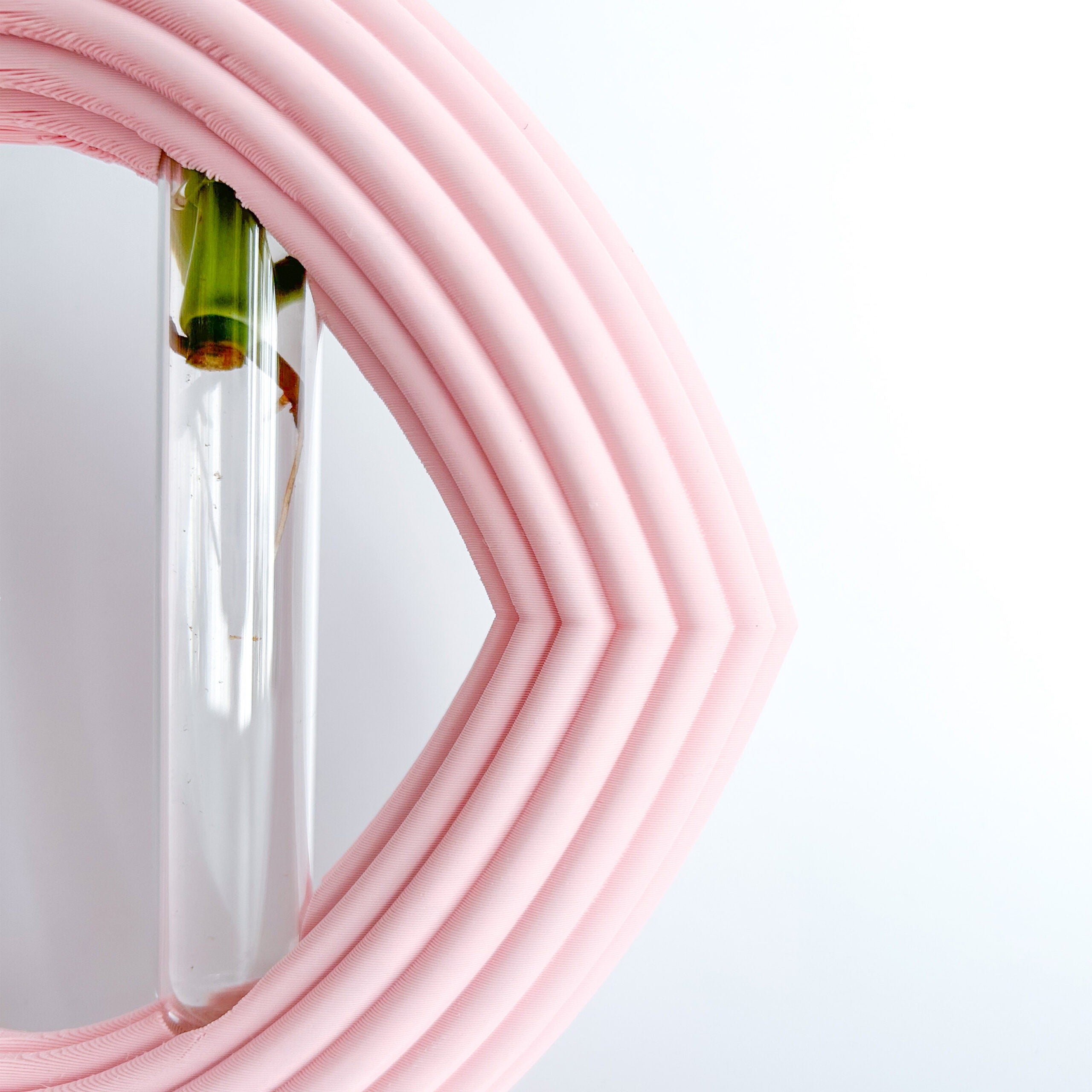 מתקן ייחורים שולחני | לב ריבס