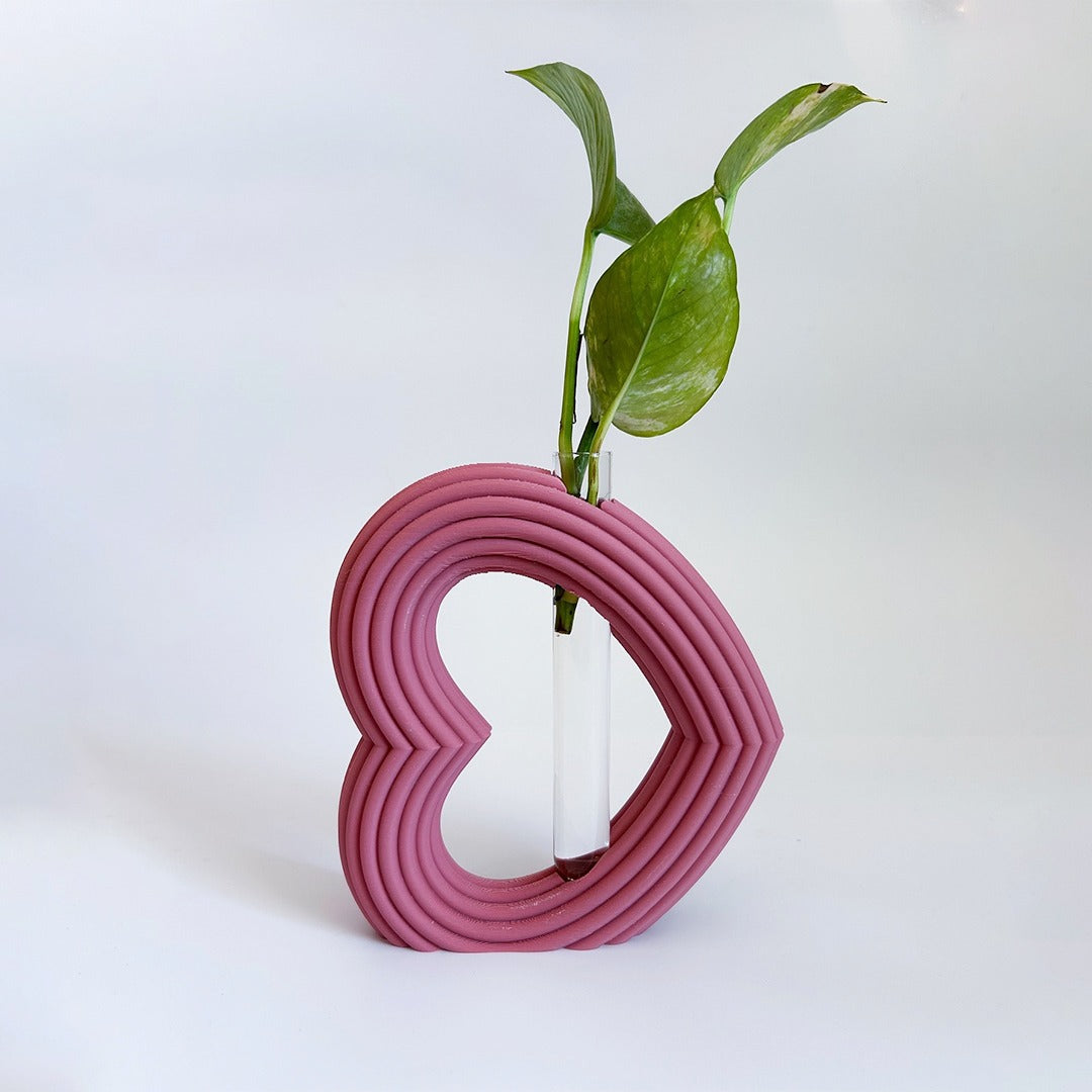 מתקן ייחורים שולחני | לב ריבס