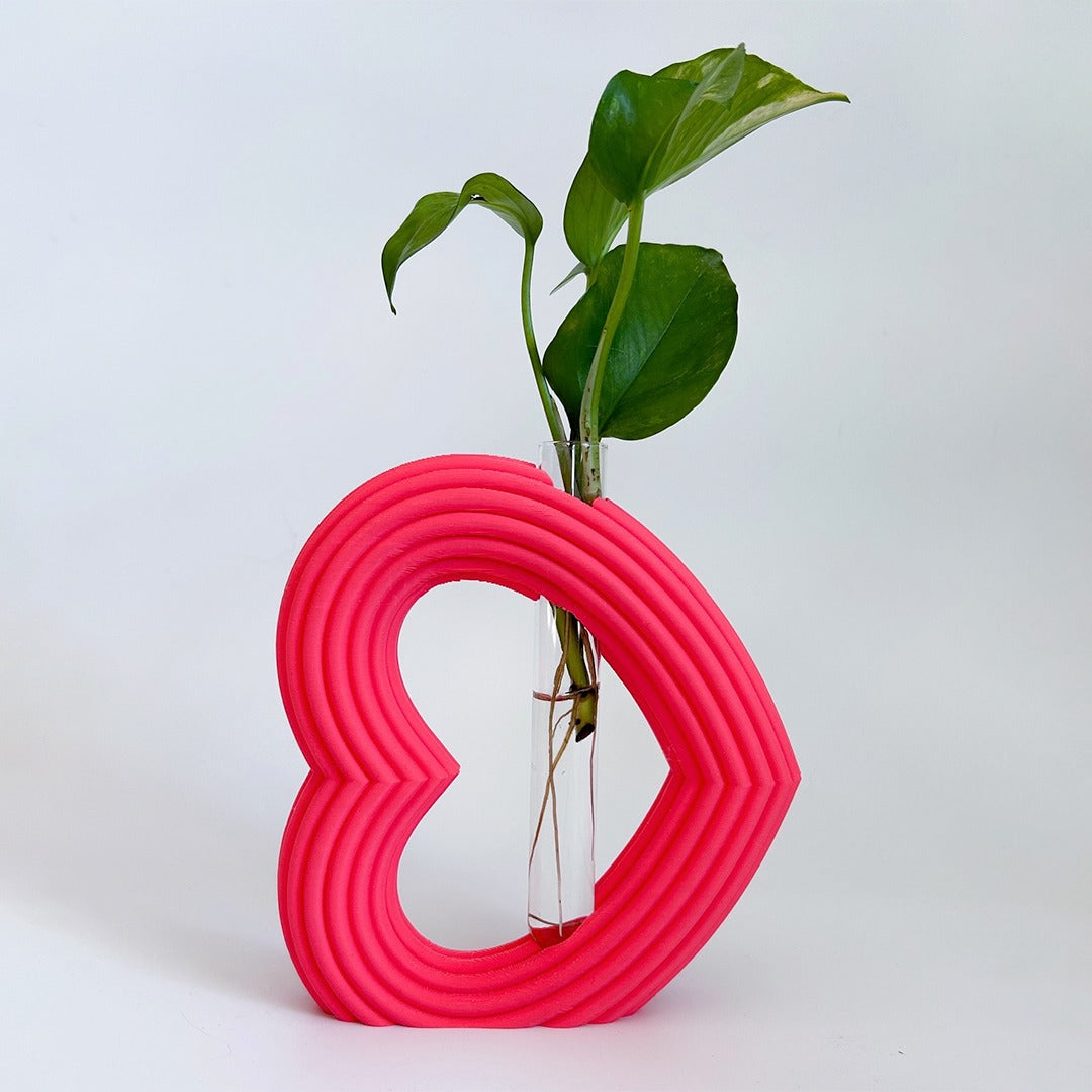 מתקן ייחורים שולחני | לב ריבס