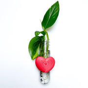 מתקן ייחורים מגנטי | לב