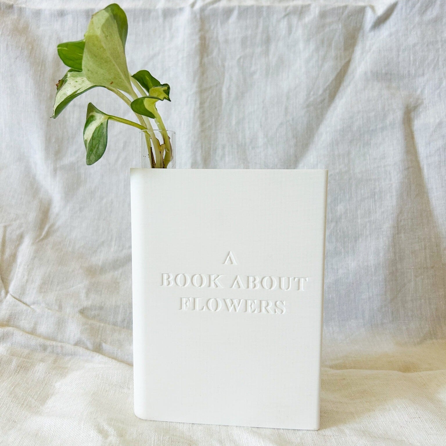 אגרטל ייחורים בצורת ספר