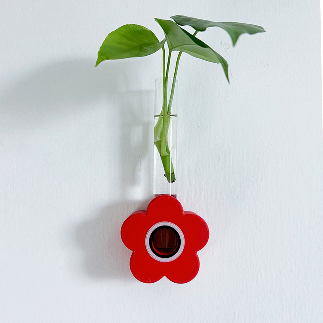 מתקן ייחורים משולב: שולחני, מגנטי ותלוי | כלנית