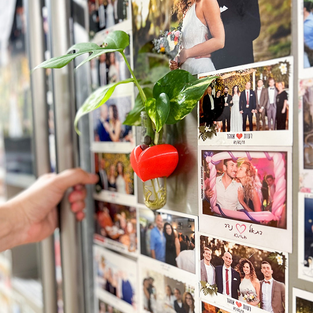 מתקן ייחורים מגנטי | לב