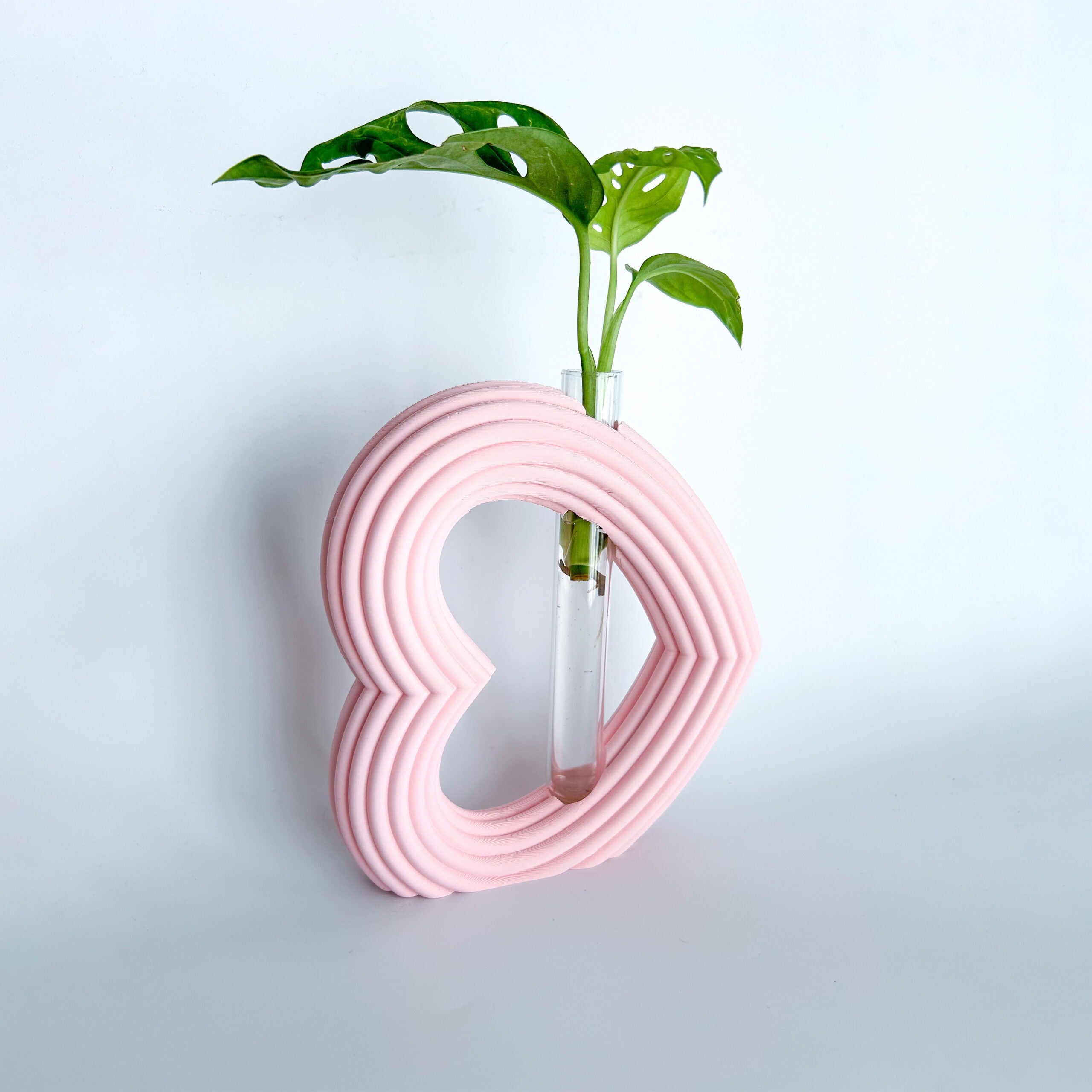 מתקן ייחורים שולחני | לב ריבס