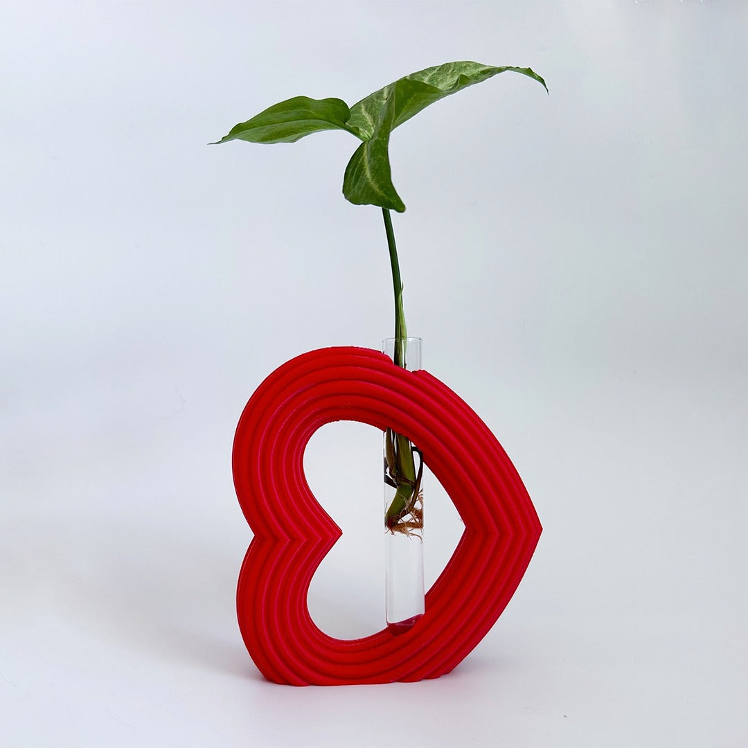 מתקן ייחורים שולחני | לב ריבס