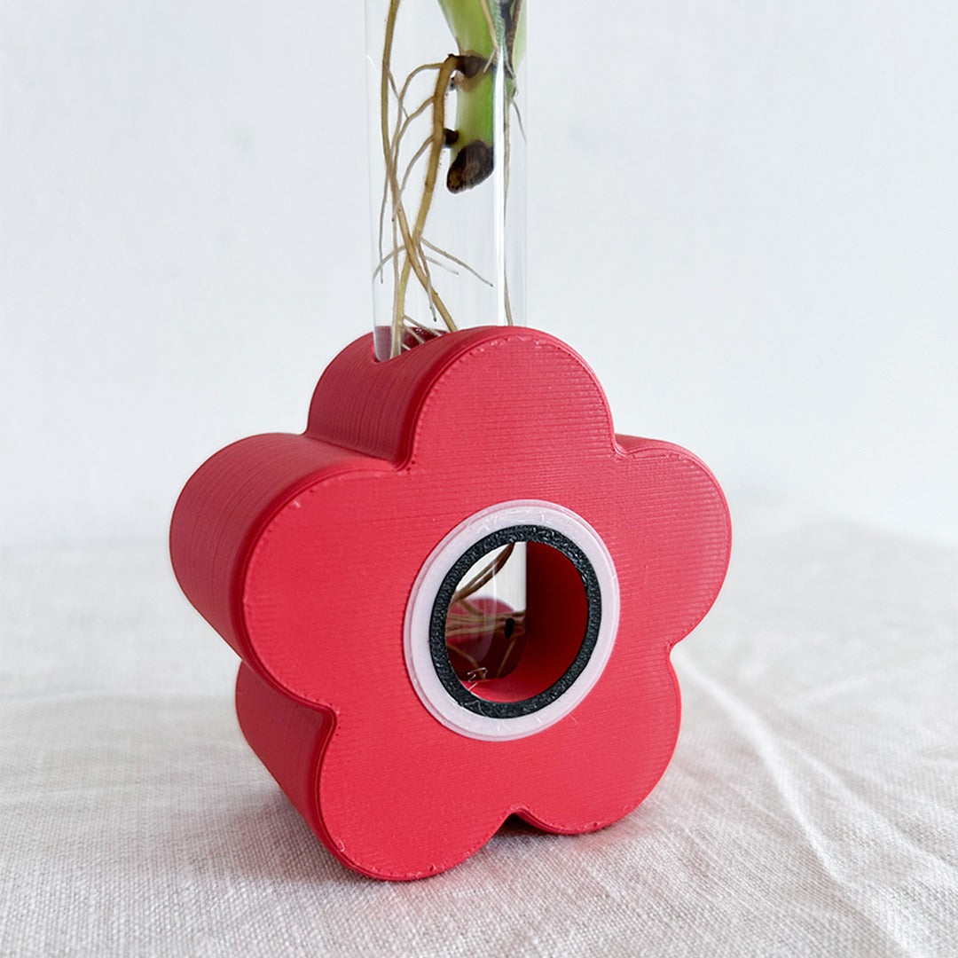 מתקן ייחורים משולב: שולחני, מגנטי ותלוי | כלנית