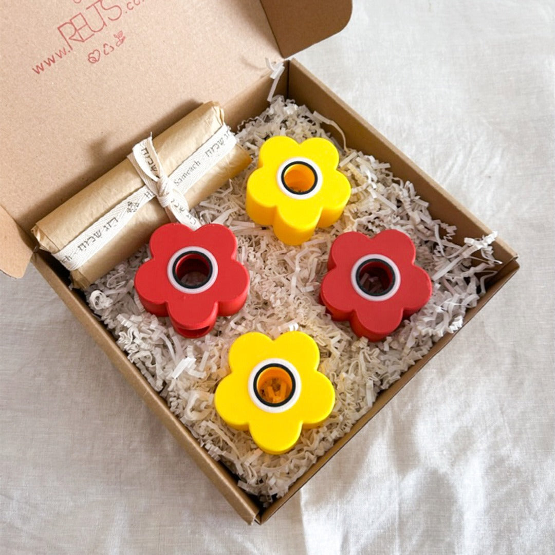 מתקן ייחורים משולב: שולחני, מגנטי ותלוי | כלנית