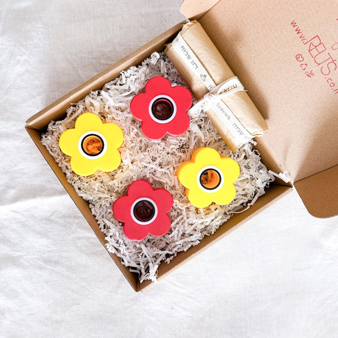 מתקן ייחורים משולב: שולחני, מגנטי ותלוי | כלנית