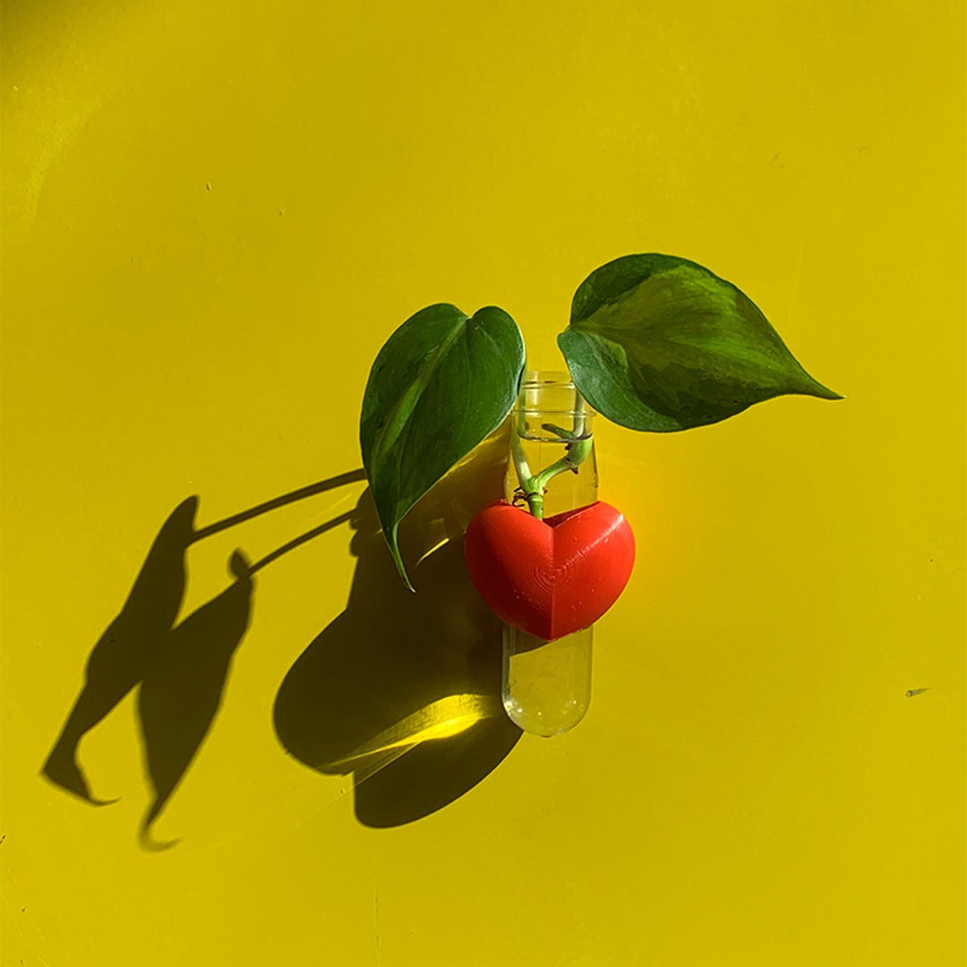 מתקן ייחורים מגנטי | לב