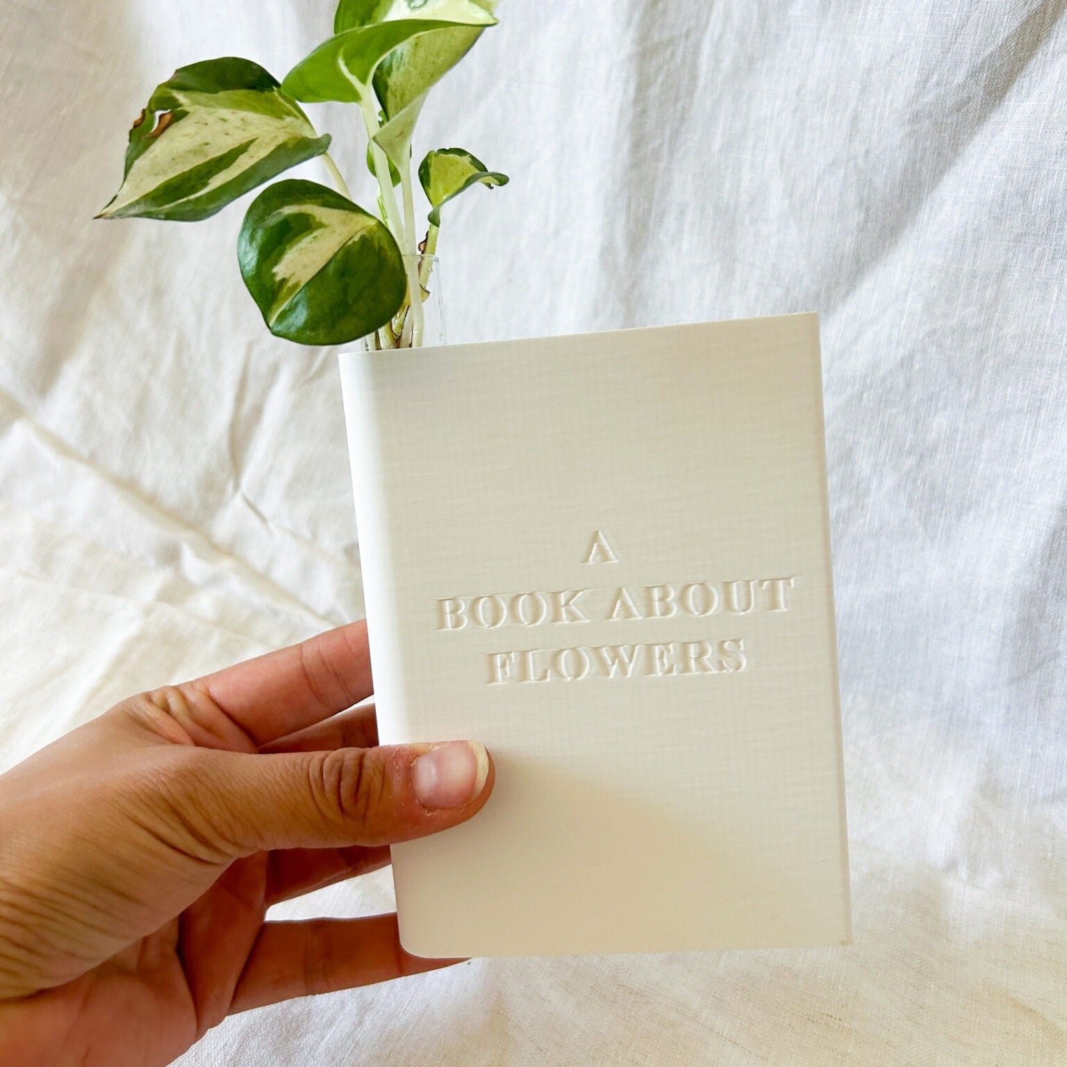 אגרטל ייחורים בצורת ספר