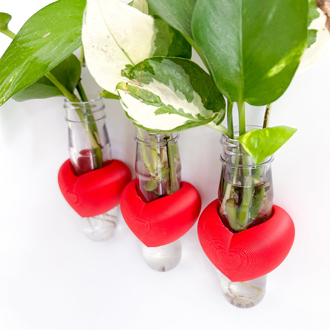 מתקן ייחורים מגנטי | לב