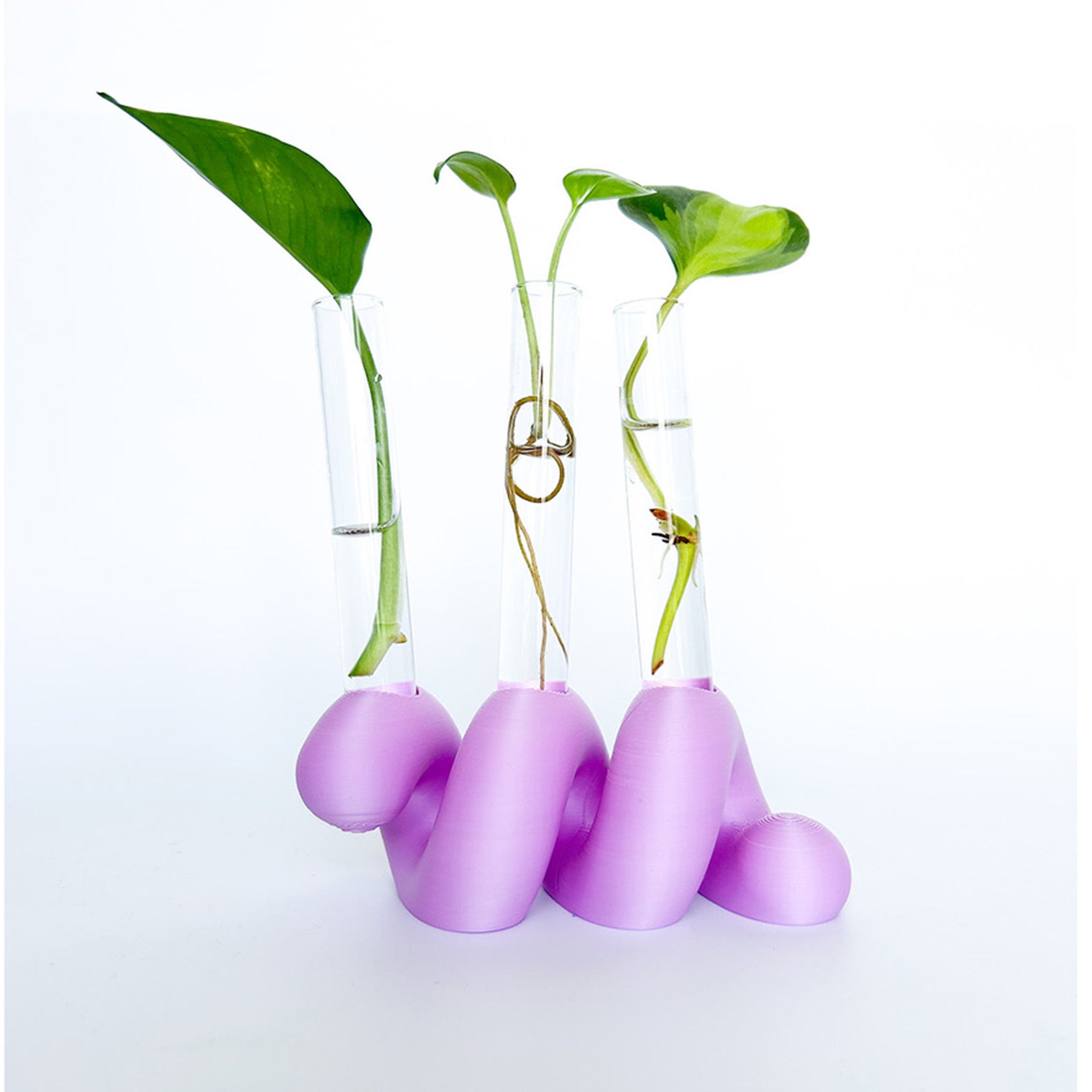 מתקן ייחורים שולחני | ספרינג