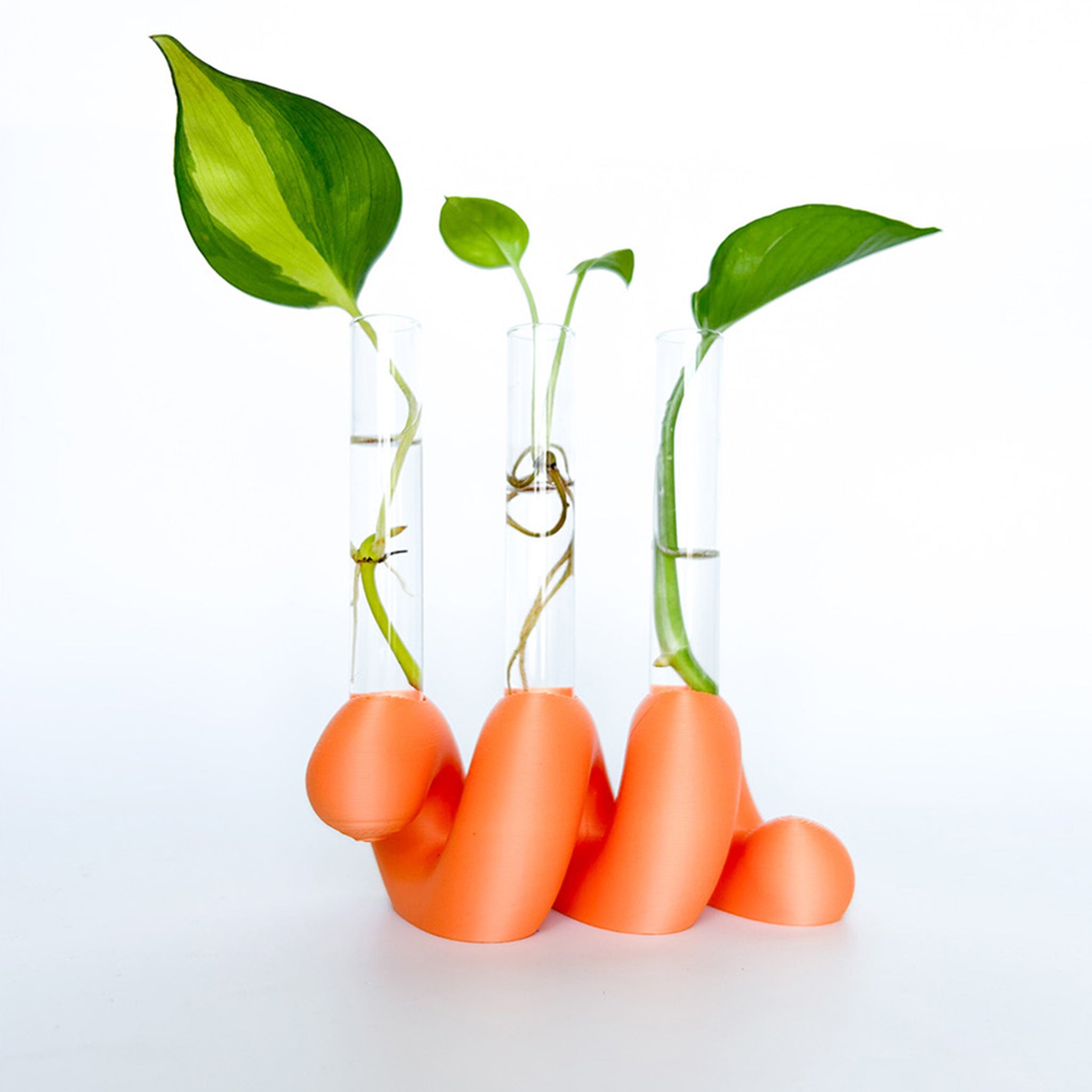 מתקן ייחורים שולחני | ספרינג