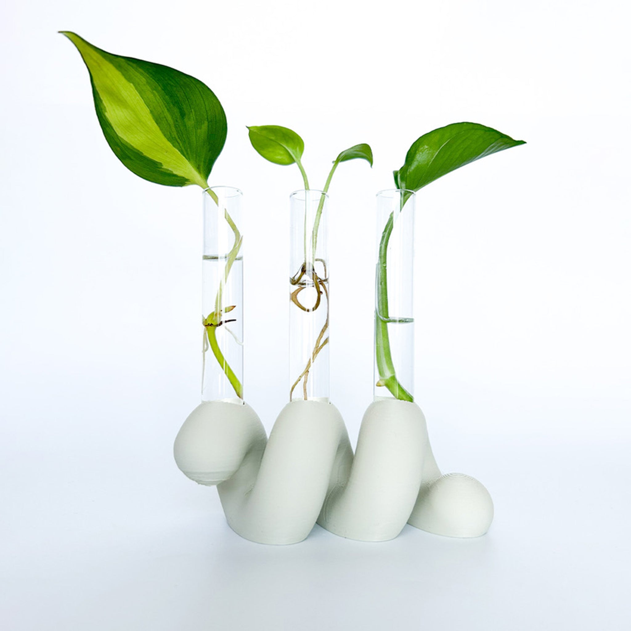 מתקן ייחורים שולחני | ספרינג