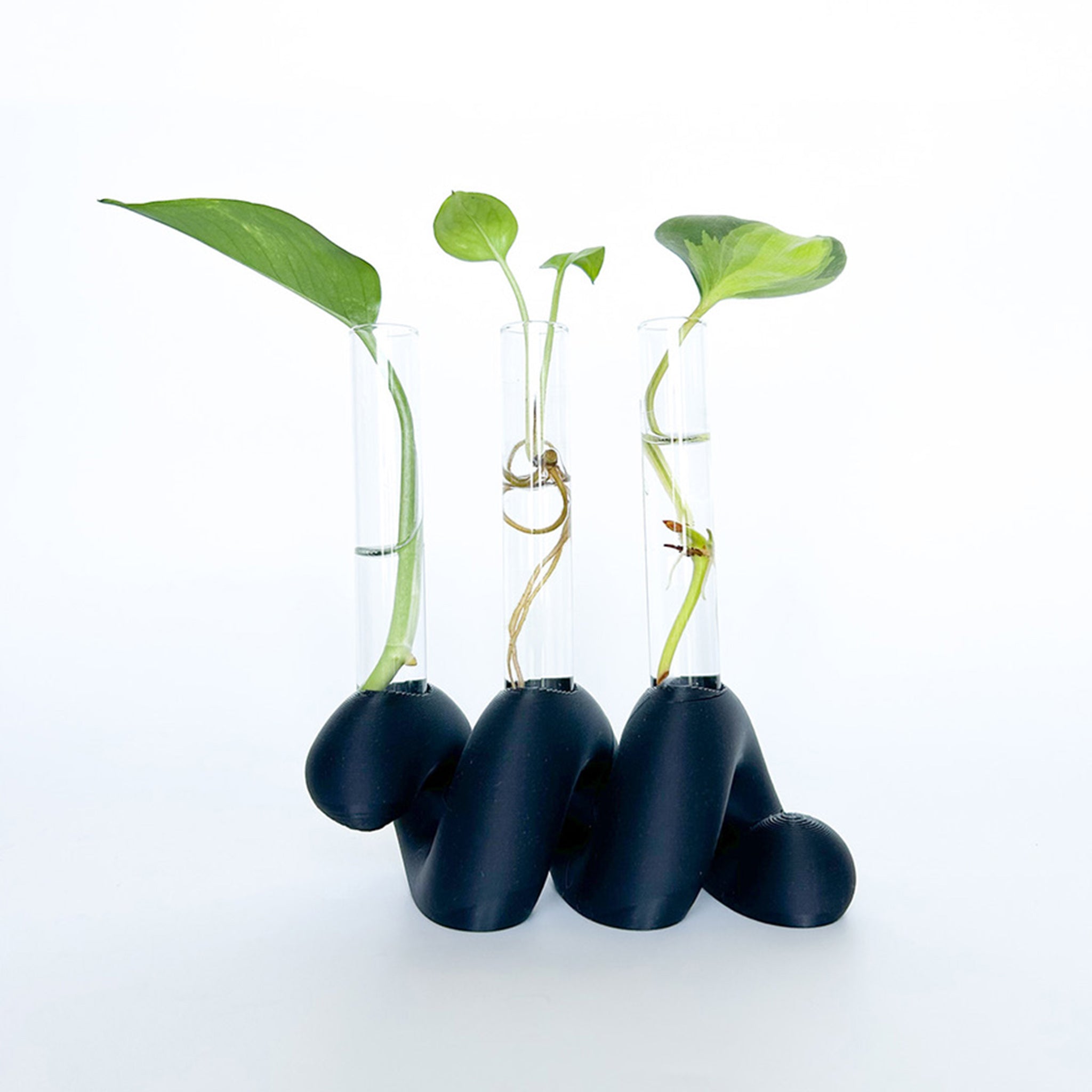 מתקן ייחורים שולחני | ספרינג