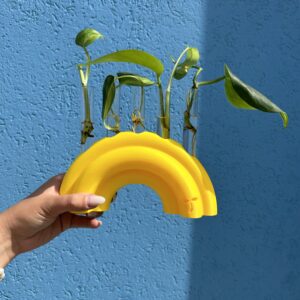 מתקן ייחורים שולחני | ריינבו