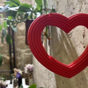 מתקן ייחורים לתלייה | Hook לב XL