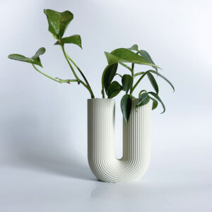 מתקן ייחורים כפול בעל שתי מבחנות פלסטיק לייחור צמחים דומים או שונים במקביל