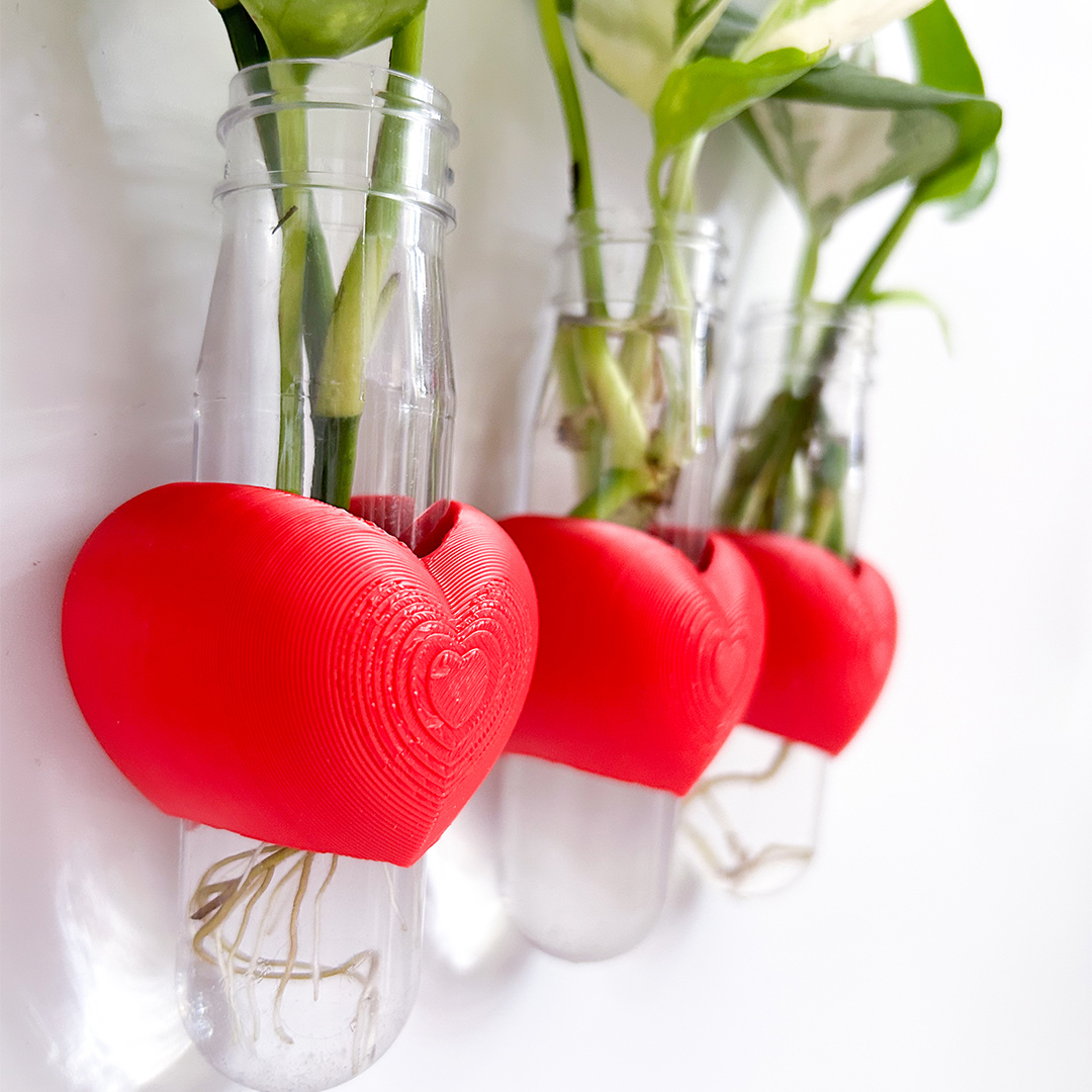 מתקן ייחורים מגנטי | לב – תמונה 9