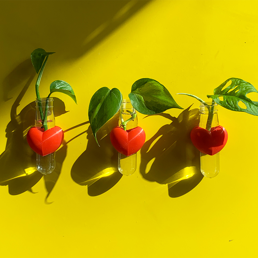 מתקן ייחורים מגנטי | לב – תמונה 5