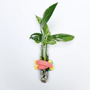 מתקן ייחורים מגנטי צבעוני - מהדורה מוגבלת | הדפסת תלת מימד ייחודית