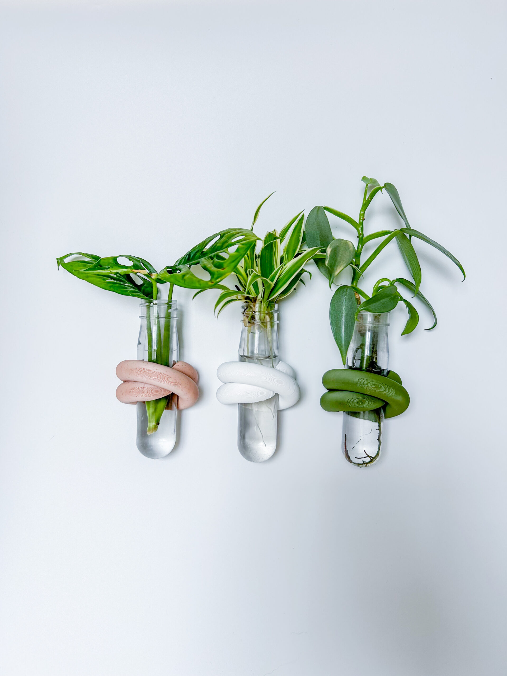 מתקני ייחורים מגנטיים להצמדה על המקרר