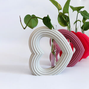 מתקן ייחורים שולחני | לב ריבס