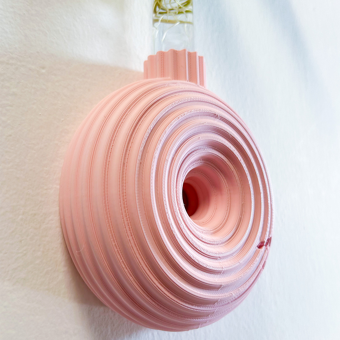 מתקן ייחורים לתלייה/ שולחני | רימון – תמונה 8