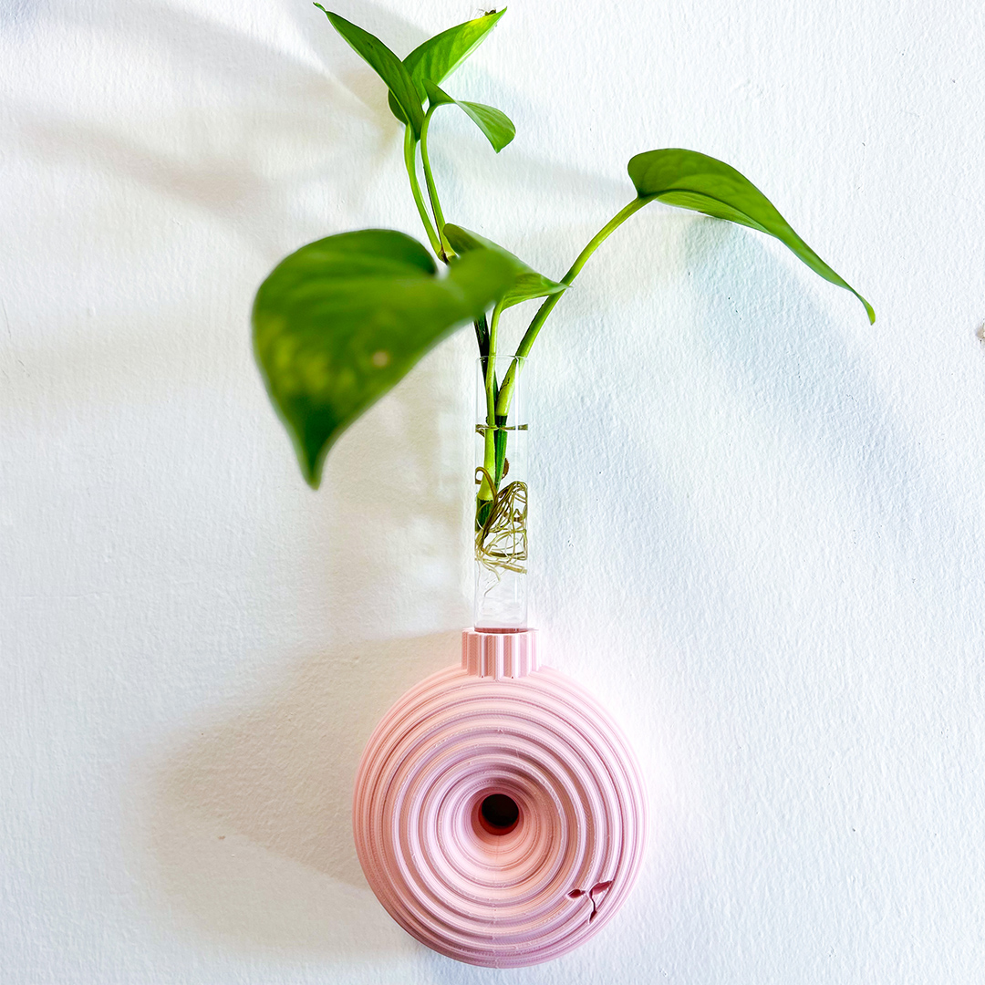 מתקן ייחורים לתלייה/ שולחני | רימון – תמונה 9