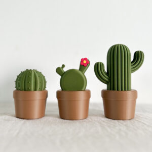 הקקטוסים של רעות׳ס