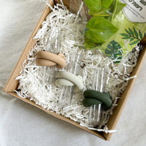 סט שלישיית ייחורונים | המומלצים!