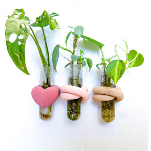 מתקן ייחורים מגנטי “תודה מכל הלב” – סט של 3 יח׳